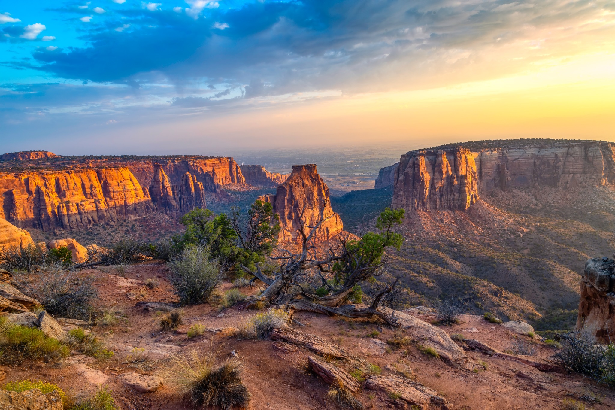 Canyon bij zonsopkomst in Grand Junction, Colorado