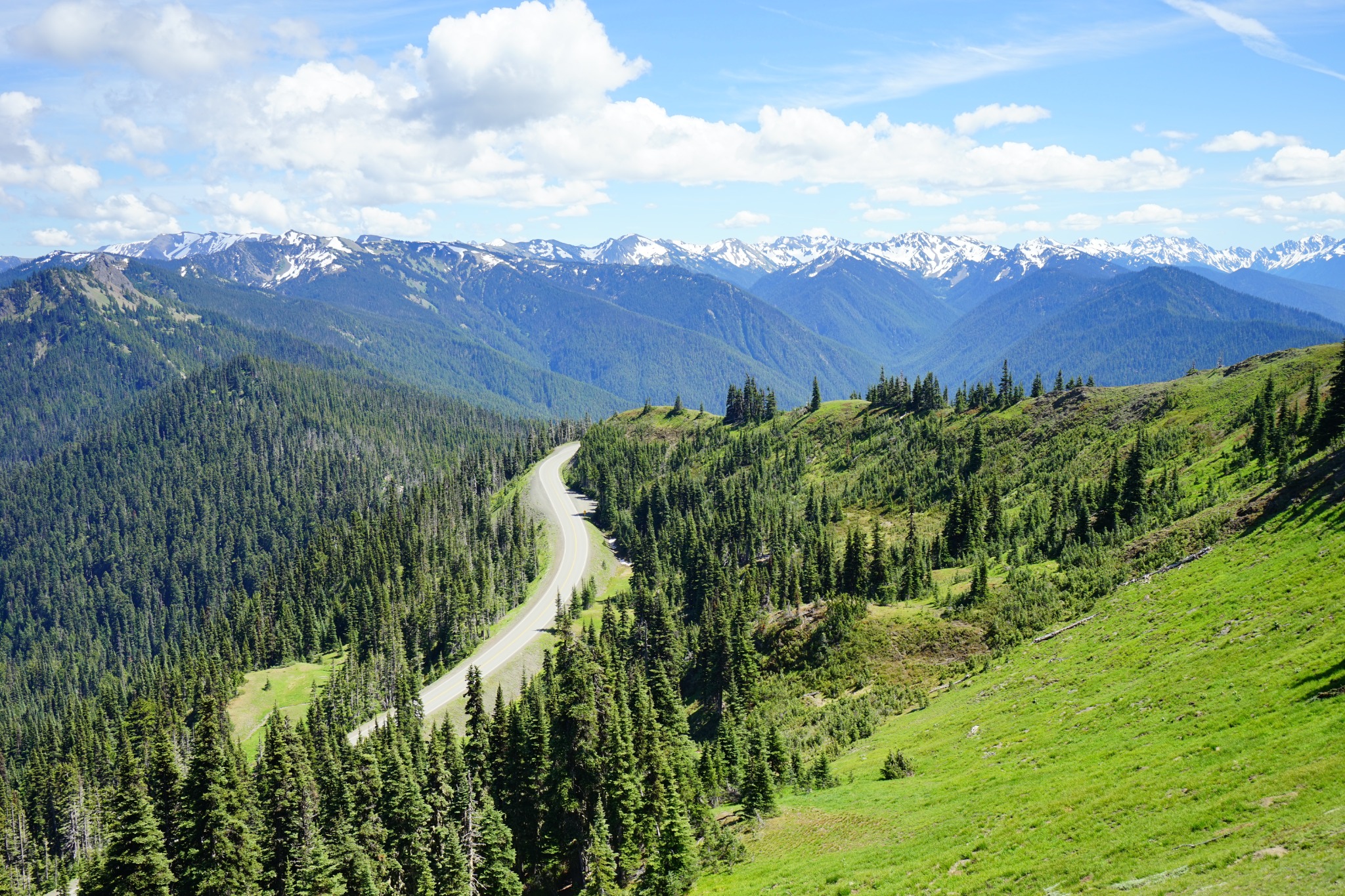 Bergweg door bossen in Olympic National Park Washington