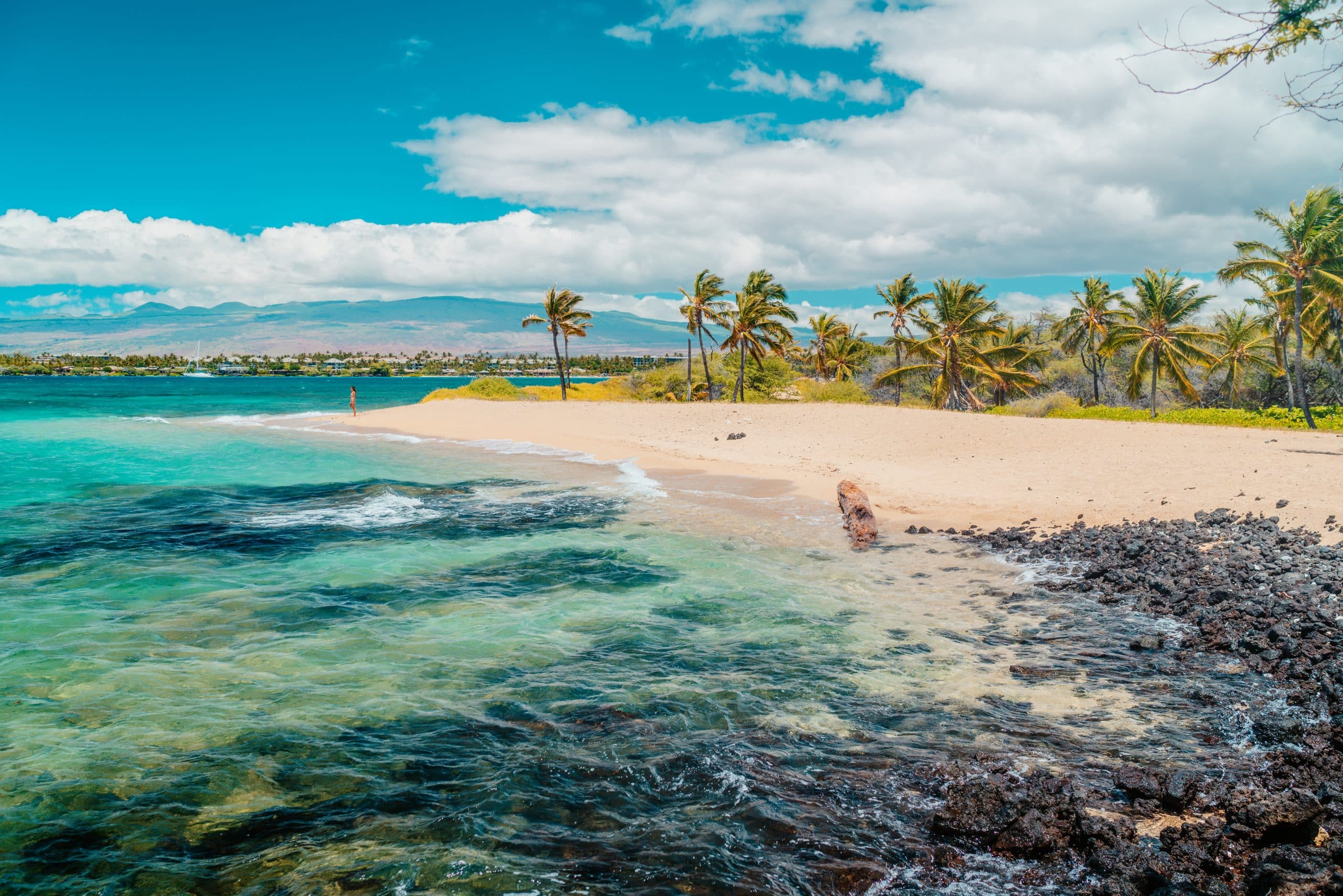 Strand met palmbomen en lavakust op Big Island, Hawaii
